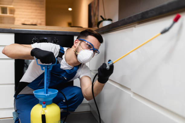 Best Commercial Pest Control Services  in St Lawrence, PA