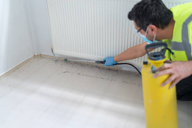 Best Best Pest Control Companies  in St Lawrence, PA